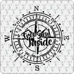 FREE SOUL COMPASS 2