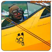 GIR sticker on the yellow side of an aircraft, with a person in the cockpit