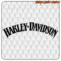 HARLEY DAVIDSON - 12 2