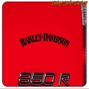 HARLEY DAVIDSON - 12