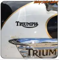 TRIUMPH - 2