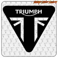 TRIUMPH 2