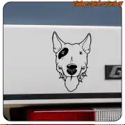 Bull Terrier noir et blanc posé sur l’arrière d’un véhicule
