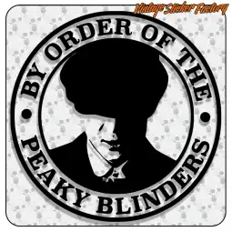 MADE LIKE A GUN, GOES LIKE A BULLET 5 2