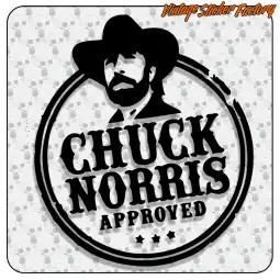CHUCK NORRIS APPROVED 2