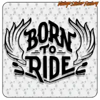 BORN TO RIDE 2
