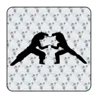 FUSION DRAGONBALL Aufkleber 2