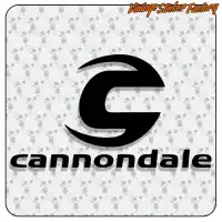 CANNONDALE 2