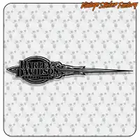 HARLEY DAVIDSON LEFT 2