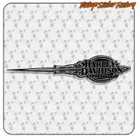 HARLEY DAVIDSON RIGHT 2