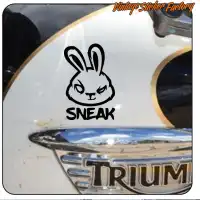 MADE LIKE A GUN, GOES LIKE A BULLET 5