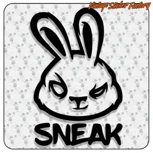 MADE LIKE A GUN, GOES LIKE A BULLET 4