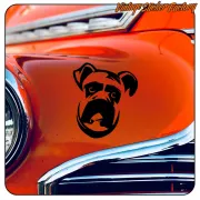 Black Boxer’s head applied to the orange bodywork of a classic car