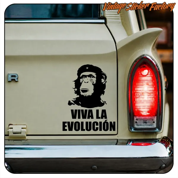 View of the «Viva la evolución» adhesive applied to the rear of a classic vehicle