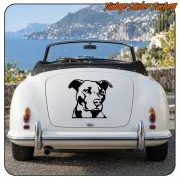 Aufkleber mit Hundekopf am Heck eines weißen Cabriolets