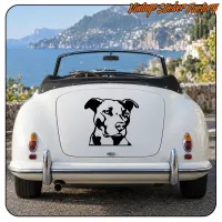 Vista trasera de un coche descapotable blanco con el diseño canino aplicado en el maletero