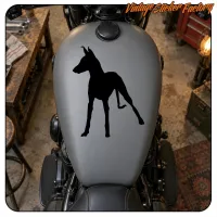 Pegatina de podenco en negro sobre el depósito de una motocicleta
