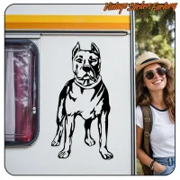Pit bull dog sticker on a caravan, with a person beside it