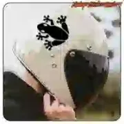 FROSCH AUFKLEBER. KAUFEN SIE VINYLAUFKLEBER.