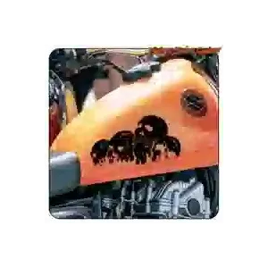 Skulls sticker for motorbikes and helmets