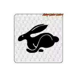 AUTOCOLLANT LOGO RABBIT. ACHETEZ DES AUTOCOLLANTS EN VINYLE.