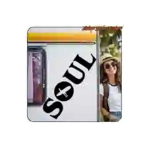 Die-cut Soul Surf vinyl sticker