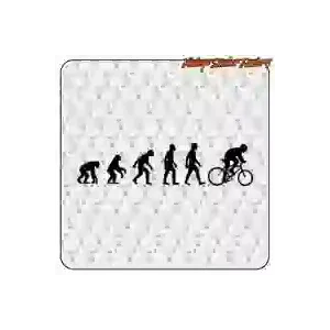 Autocollant évolution vélo | Vinyle évolution vélo