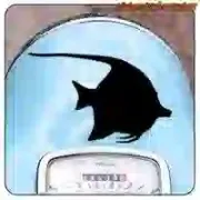 AUTOCOLLANT POISSON TROPICAL -1. ACHETEZ DES AUTOCOLLANTS EN VINYLE.