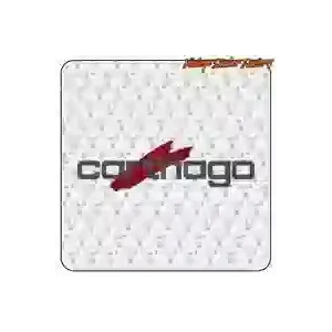 Pegatina logo Carthago, pegatinas del logo de tu autocaravana