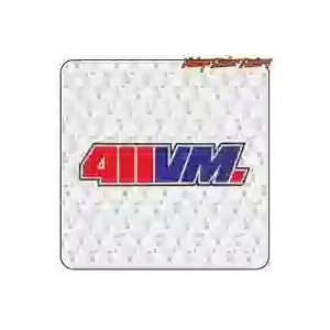 Skateboard-Aufkleber 411VM aus Vinyl | Vintage Sticker Factory