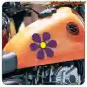 Pegatina floral de vinilo para surf