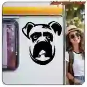 Boxer-Aufkleber | Dekorative Vinylfolie