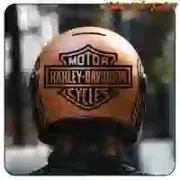 Harley-Davidson 1965 Logo Sticker