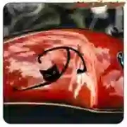 Decorative vinyl cat sticker