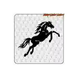 Pegatina de caballo en vinilo de corte