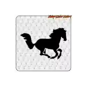 Pegatina de caballo en vinilo de corte