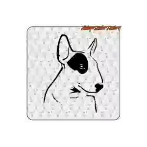 Pegatina BULL TERRIER 1. Comprar pegatinas.