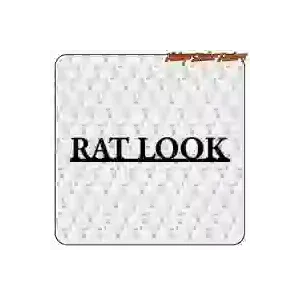 Pegatina RAT LOOK. Comprar pegatinas.