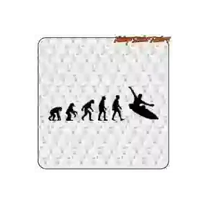 Pegatina Evolución Surf en vinilo de corte