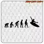 Evolution Surf Aufkleber aus Schneidevinyl