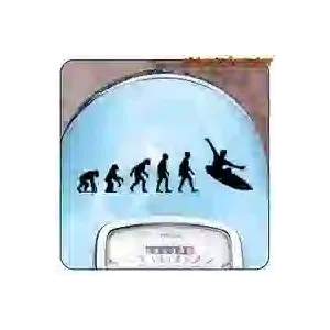 Evolution Surf cut vinyl sticker