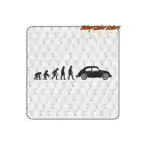 Evolution Beetle cut vinyl sticker