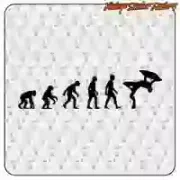 AUTOCOLLANT BODYBOARD EVOLUTION. ACHETEZ DES AUTOCOLLANTS EN VINYLE.