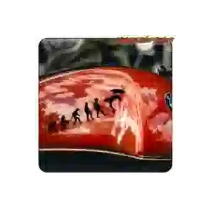 Pegatina EVOLUCION BODYBOARD. Comprar pegatinas.