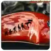 BODYBOARD EVOLUTION STICKER. BUY VINYL STICKERS.
