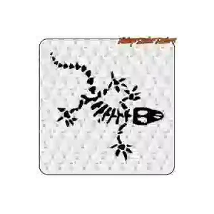 GECKO SKULL Vinylaufkleber