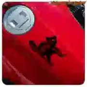 Pegatina de gato para moto y casco