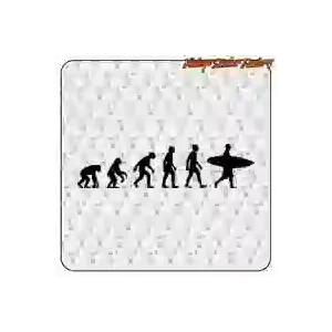 Die-cut Evolution Surf vinyl sticker