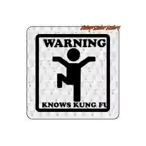 WARNING KNOWS KUNG FU Sticker | Geek Film