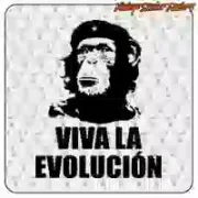 Sticker Viva la evolución | Vinyle découpé